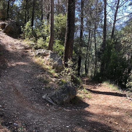 Casas Rurales Arroyo De La Sierra ジェステ エクステリア 写真